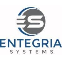 entegria systems, llc. logo image