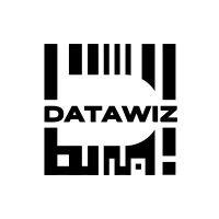 data wizards logo image