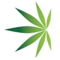 american cannabis company logo image