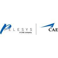 pelesys learning systems inc.