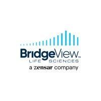 bridgeview life sciences - a zensar company logo image