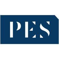 peskind executive search, inc. logo image