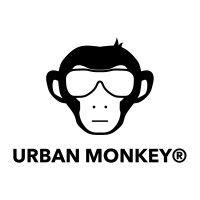 urban monkey india