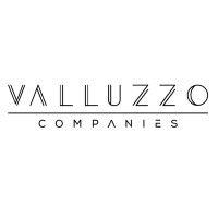 valluzzo companies logo image