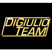 digiulio team real estate logo image