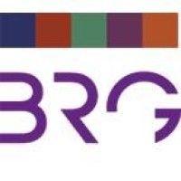 brg accountants & belastingadviseurs