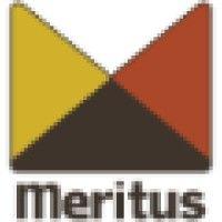 meritus llc logo image