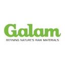 logo of Galam Ltd