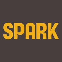 spark grills logo image