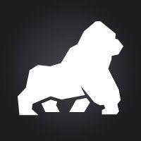 silverback logo image