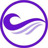 purple wave solutions