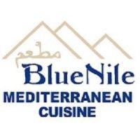 blue nile logo image