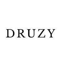 druzy logo image