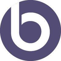 bsocial strategy logo image