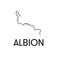 albion logo image