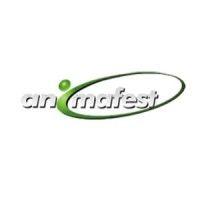 animafest experience (internships abroad) hotels & resorts