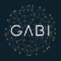 gabi fund plc logo image