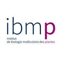 ibmp (institut de biologie moléculaire des plantes) logo image