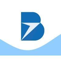 blue wave media logo image