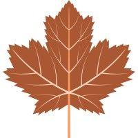 copper maple consulting