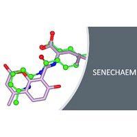 senechaem ltd. logo image