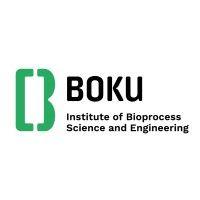 boku | ibse logo image