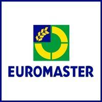 euromaster logo image