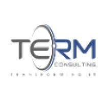 term consulting logo image