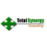 total synergy consulting private limited logo image