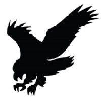 riverhawk company logo image