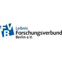 forschungsverbund berlin e.v. logo image