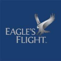 eagle's flight brasil logo image