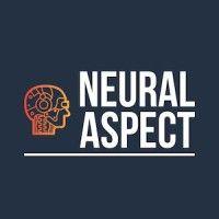 neural aspect