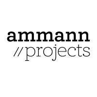 ammann projects ltd logo image