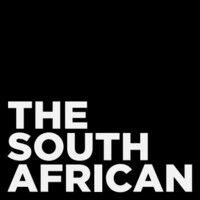 the south african logo image