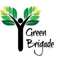 green brigade- the environment society of college of vocational studies logo image