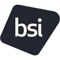 bsi ehs consulting logo image