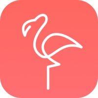 flamingo, inc