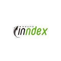 grupo inndex logo image