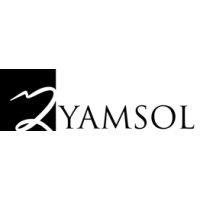 yamsol logo image