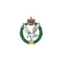 logo of 678 Squadron Army Air Corps Reserves Milton Keynes Luton