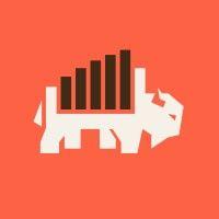 bison metrics logo image