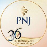 pnj group logo image