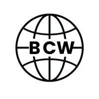 bconnectedworld logo image