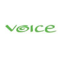 voice ireland logo image