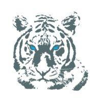 tiger design - leading provider of iot hardware & software logo image