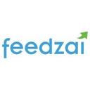 logo of Feedzai