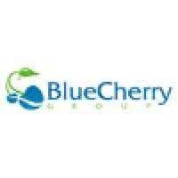 blue cherry media group logo image