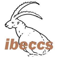 ibeccs ltd logo image