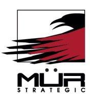 mur strategic logo image